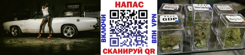 MEGA маркетплейс Мытищи Каннабис SATIVA & INDICA